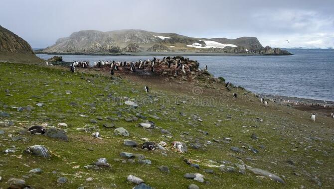 Aitcho Islands