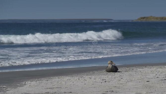 Big Sandy Petrel Island Climate