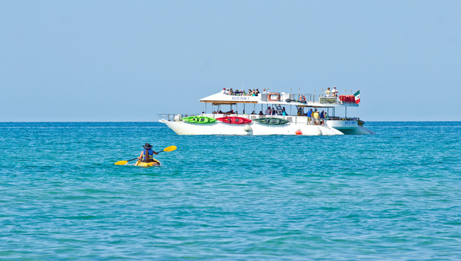 Bird Island Activities