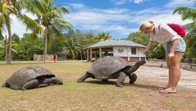 Curieuse Island Activities