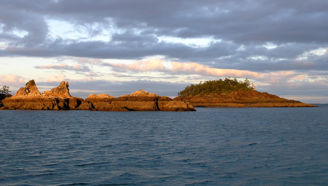 Curlew Island