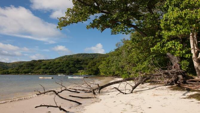 Ile Madge Island-Everything You Need to Know!
