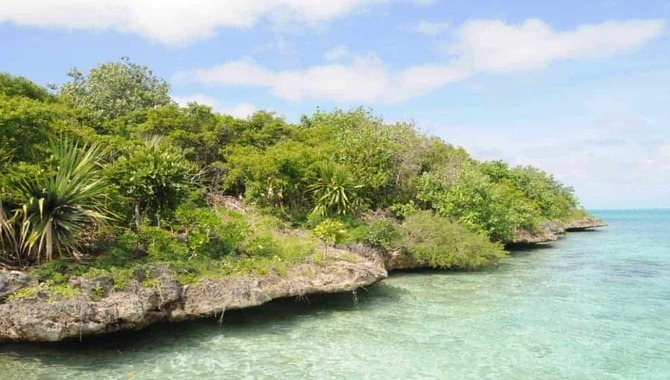Ile Aux Rats Island-Everything You Need to Know!