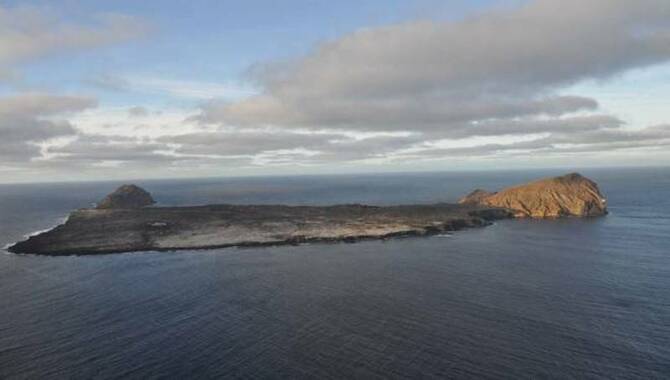 Isla San Ambrosio Island