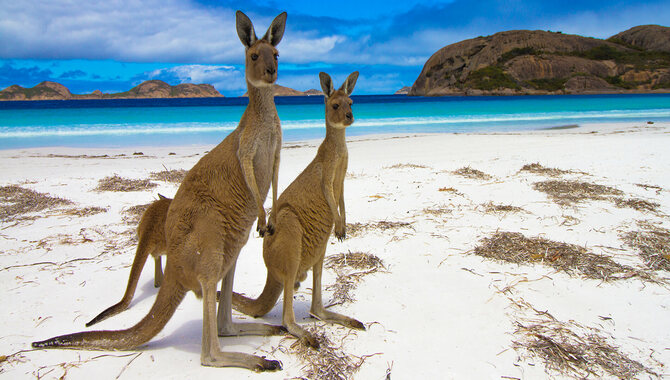 Kangaroo Island