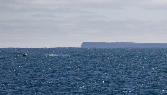 Lady Julia Percy Island