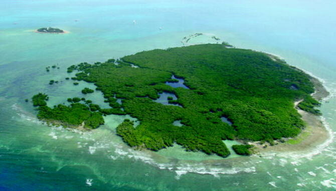 Mangrove Island