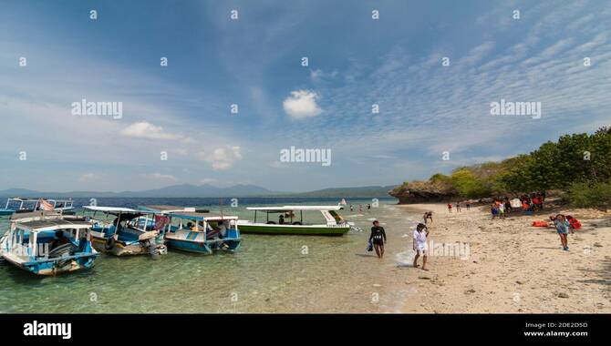 Menjangan Island Tourism