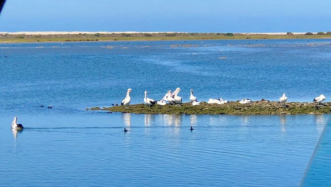 Mundoo Island