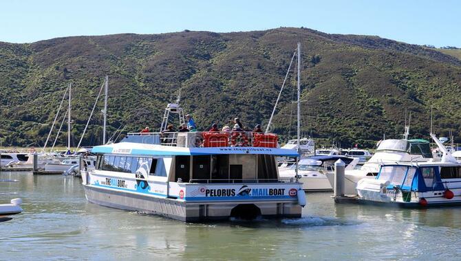 Pelorus Island Transport