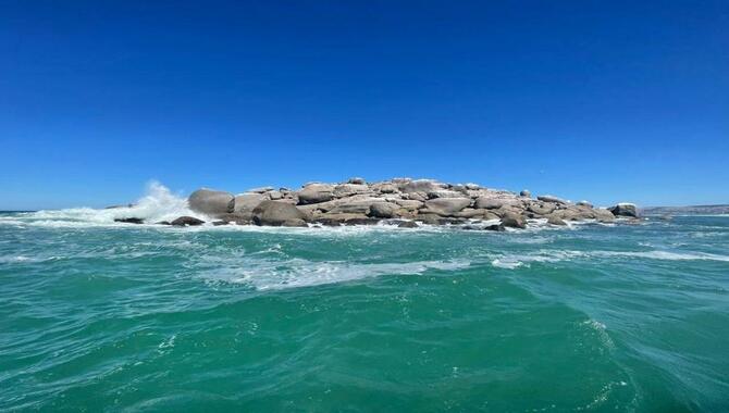 Seal Island (Encounter Bay)