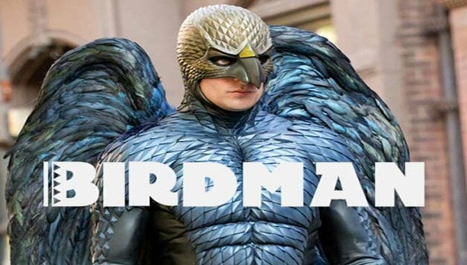 Birdman- Storyline and Short Review