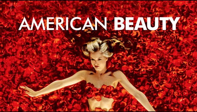 American Beauty- Frequently Asked Questions