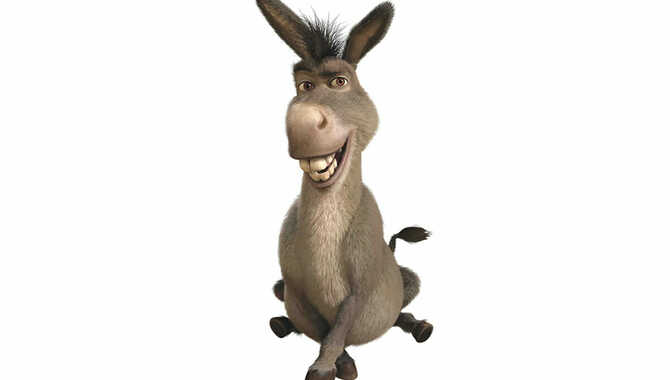 Donkeyas Donkey