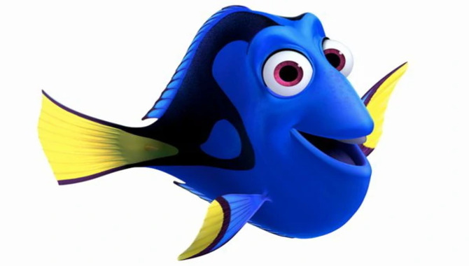 Dory