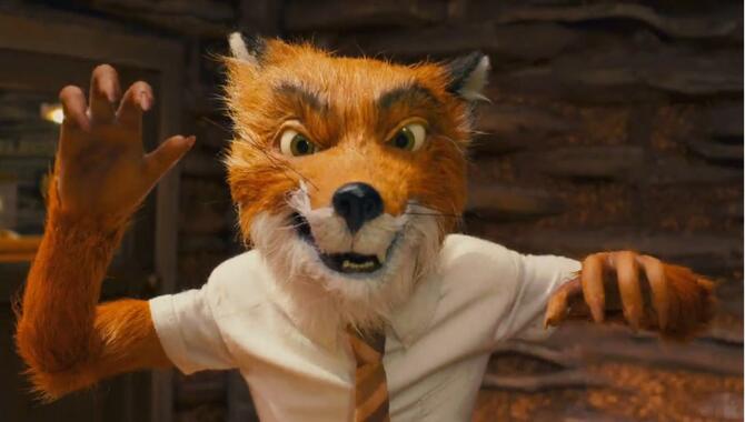 Mr Fox