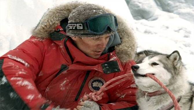 What Happened at the End of Eight Below