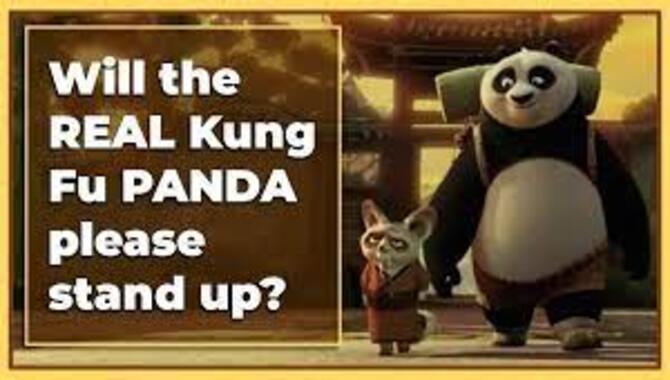 What Is the Main Message of Kung Fu Panda