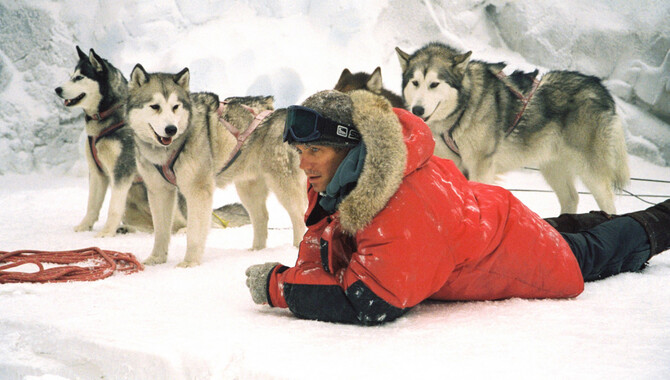 What is Eight Below