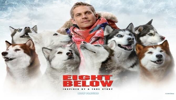 Eight Below (Storyline And Short Review)