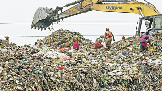 Beaumont Skerry Garbage Dumping