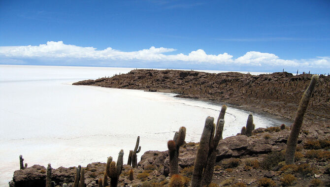 Isla del Pescado (Incahuasi Island) Island