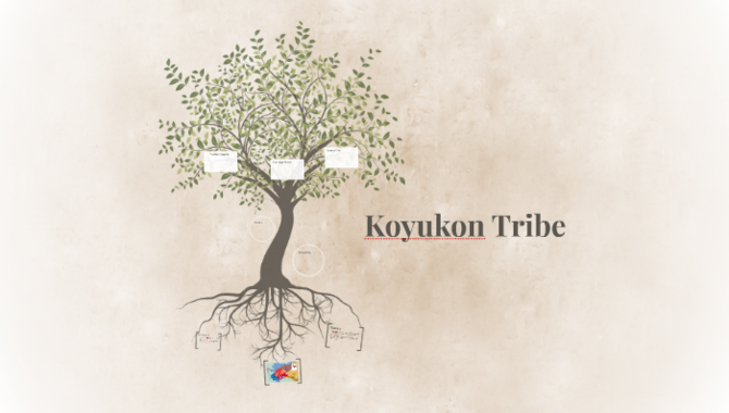 Koyukon Tribe