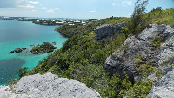 Natural resources of Abbott Island