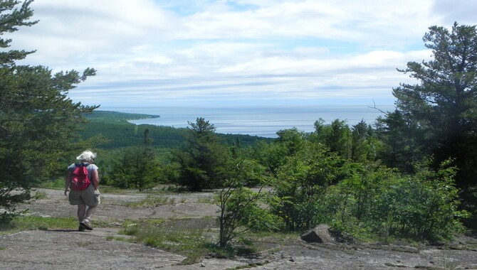 Pincushion island Tourism