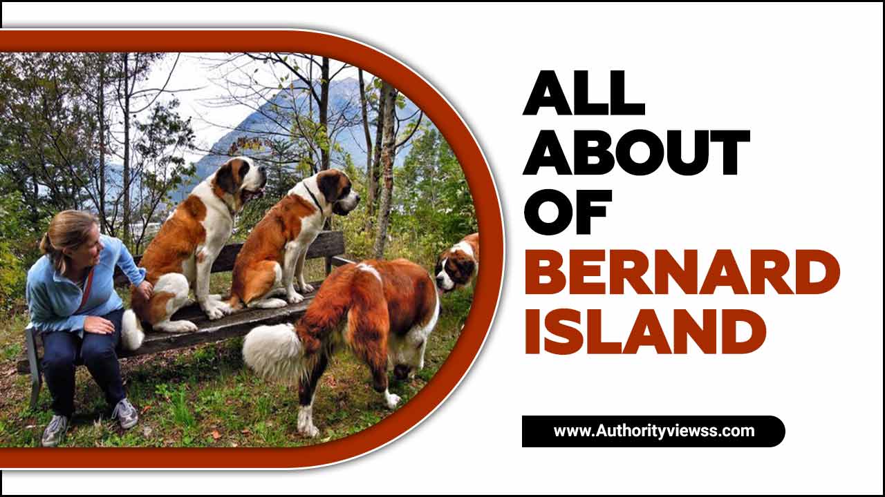 All About Of Bernard Island