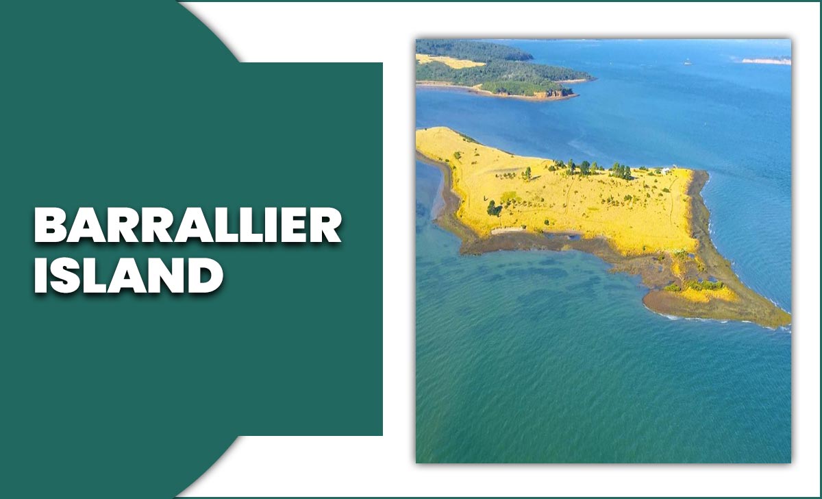 Barrallier Island