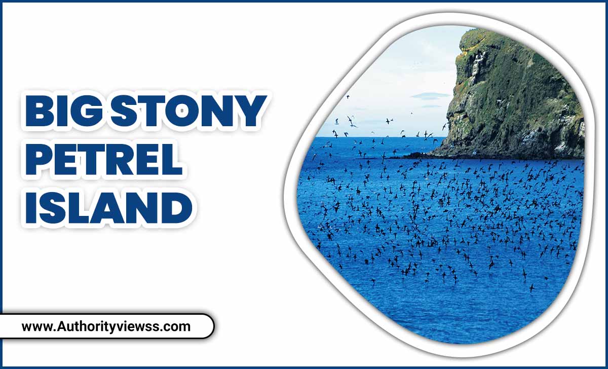 Big Stony Petrel Island