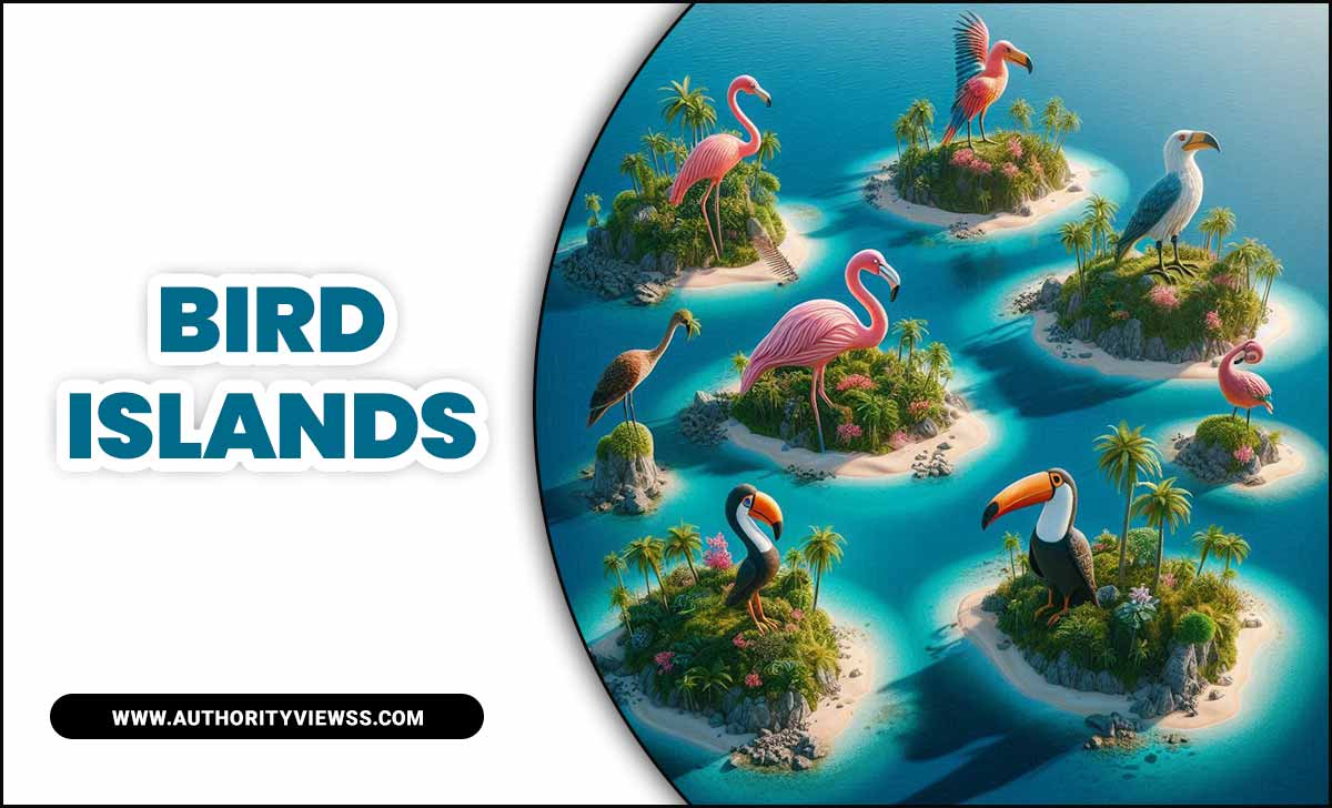 Bird Islands
