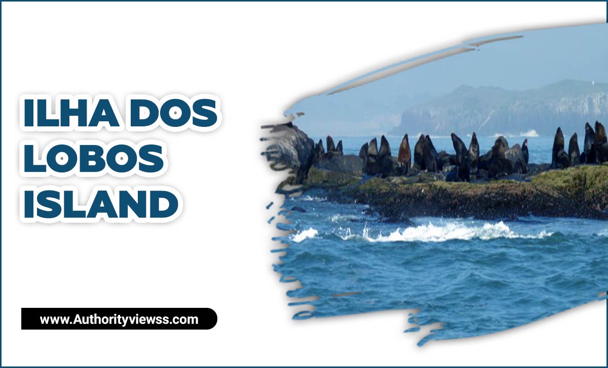 Ilha dos Lobos Island