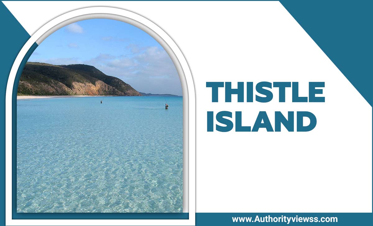 Thistle Island